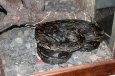 IMG_1405.jpg IMG_1405.jpg