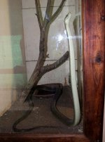 IMG_1407.jpg IMG_1407.jpg