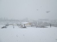 IMG_3161.JPG