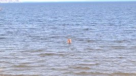 WP_20150501_09_40_08_Pro.jpg WP_20150501_09_40_08_Pro.jpg