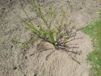 20150511_104533.jpg