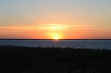 DSC_0425_small.jpg