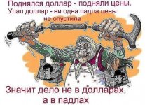KbyDwx8UVa8.jpg