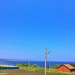 IMG_7741.jpg