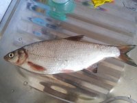 20150813_120935.jpg