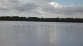 DSC01329.jpg