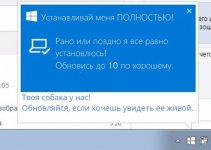 kvSorPyP5EM.jpg