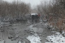 DSCF3126.jpg