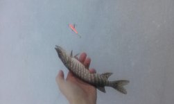 20160229_071722.jpg