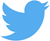 Twitter_bird_logo_2012.svg.png Twitter_bird_logo_2012.svg.png