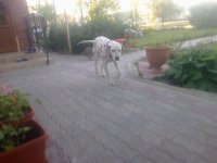 06052016461.jpg