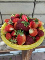 IMG_20160604_114757.jpg