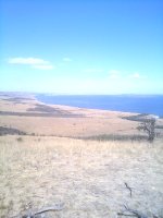 IMG_20160827_122949.jpg