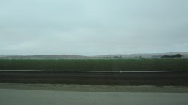 IMG_5283.JPG