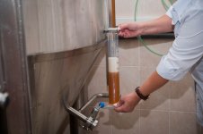 beer-4714.jpg