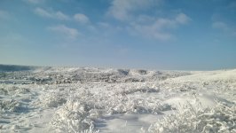 IMAG0675.jpg