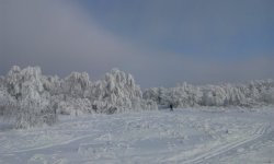 IMG_20170118_135232.jpg