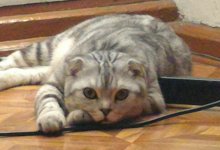 P_20160827_061211_1_p_1.jpg