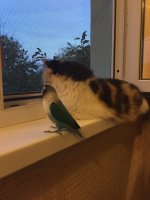IMG_1750.JPG