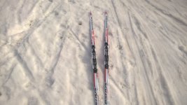WP_20170308_12_38_15_Pro.jpg