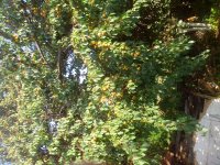 IMG_20170808_163547.jpg