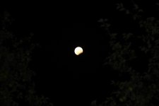 IMG_4770.JPG