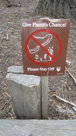 IMG_5420.JPG IMG_5420.JPG