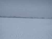 IMG_20180225_144509.jpg