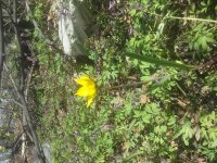 20170429_155554.jpg