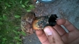 WP_20180802_20_24_40_Pro_LI.jpg