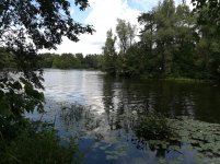 IMG_20180805_124546.jpg