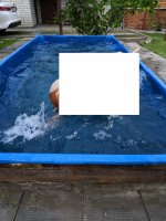 111111.jpg