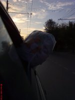 DSC01426.JPG