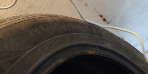 IMG_20181211_125828.jpg