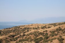 IMG_4907.jpg
