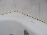 IMG_5585.JPG