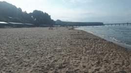 20190917_091106_1.gif