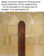 13629478.jpg