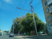 IMG_20200522_131451.jpg