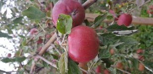 20200912_135213.jpg