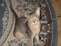 IMG_0407.jpg