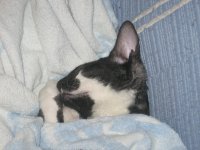 IMG_3118.JPG