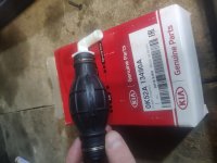 груша KIA.jpg груша KIA.jpg