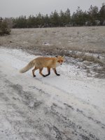 IMG_20211217_143958.jpg