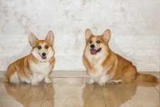 DSC_4328_новый размер.jpg DSC_4328_новый размер.jpg