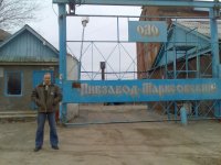 2008-12-017.jpg
