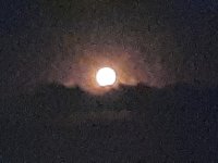 20220714_225354.jpg
