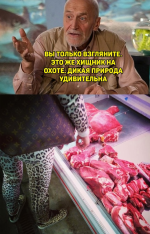 1680524758927.png