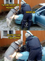 1680696250004.png