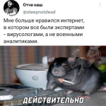 1680696702663.png